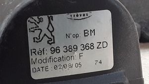 Peugeot 307 Plage arrière couvre-bagages 96389368ZD