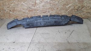 Volkswagen PASSAT B6 Absorber zderzaka przedniego 3C0807248B