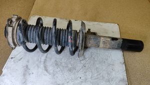 Seat Toledo III (5P) Front shock absorber with coil spring 1T0413031H