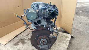 Opel Insignia A Motor 55565911