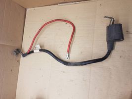 Audi A3 S3 A3 Sportback 8P Positive cable (battery) 