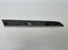 Audi A6 S6 C6 4F Front door trim bar 4F0867420