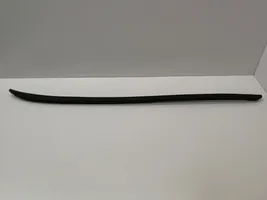 Audi A6 S6 C6 4F Front door glass trim molding 4F0854328