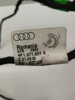 Audi A6 S6 C6 4F Rear door wiring loom 4F1971693G