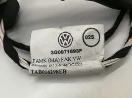 Volkswagen PASSAT B8 Wiązka przewodów drzwi tylnych 3G0971693F