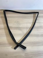 Toyota RAV 4 (XA50) Gummidichtung Fenster Scheibe Coupé-Tür 681414212