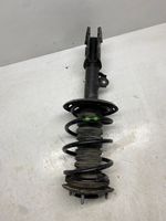 Toyota C-HR Ammortizzatore anteriore 48520F4020