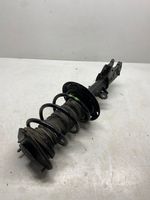 Toyota C-HR Ammortizzatore anteriore 48520F4020