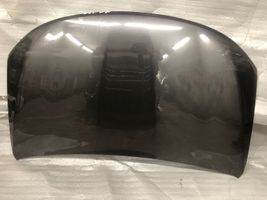 Chrysler Pacifica Motorhaube 