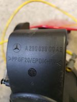 Mercedes-Benz SL R230 Polttoainesäiliön korkki A2306390042