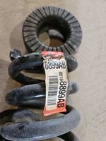 Dodge Challenger Rear coil spring 25591F