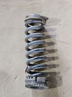 Dodge Challenger Rear coil spring 25591F