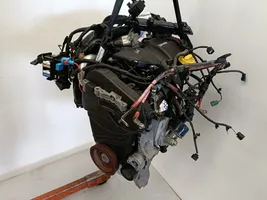 Renault Fluence Silnik / Komplet 