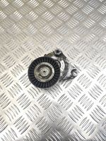 Mercedes-Benz ML W164 Napinacz paska wielorowkowego / Alternatora T38319