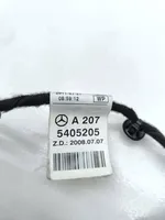 Mercedes-Benz E C207 W207 Cablaggio porta anteriore A2075405205