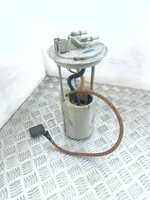 Opel Antara Kraftstoffpumpe im Tank 96830395