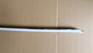 Bentley Continental Front door trim (molding) 3SD853516