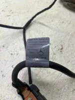 Mercedes-Benz C W204 Cable negativo de tierra (batería) A2045420818