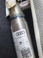 Audi A6 S6 C7 4G Stogo oro pagalvė (užuolaida) 4G9880741C