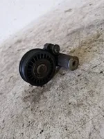 Volkswagen PASSAT B5.5 Napinacz paska alternatora 038145283