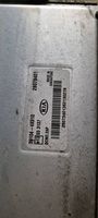 KIA Carnival Calculateur moteur ECU 391044X910