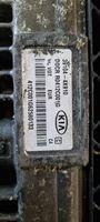 KIA Carnival Centralina/modulo del motore 391044X910