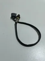 Mercedes-Benz E W238 Sensore della sonda Lambda A0075426418