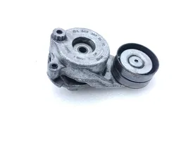 Mercedes-Benz R W251 Napinacz paska wielorowkowego / Alternatora A6422000470