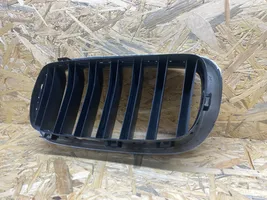 BMW X5 F15 Grille de calandre avant 7316076