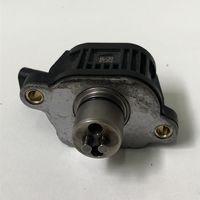 Seat Leon (5F) Nokka-akselin vanos-ajastusventtiili 2502171255143