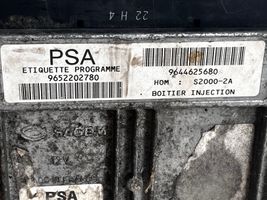 Peugeot 206 Moduł / Sterownik gazu LPG 215846327