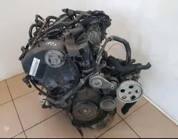 Audi S5 Motor CDN