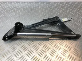 Volkswagen Phaeton Tailgate strut 