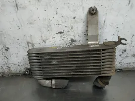 Hyundai Matrix Chłodnica powietrza doładowującego / Intercooler 2827027620