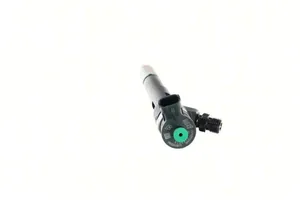 Dacia Duster Fuel injector 0445110652