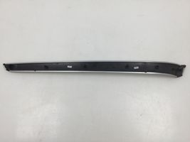 Audi A4 S4 B7 8E 8H Moulure/baguette de porte avant 8E0867410