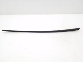 Audi A4 S4 B7 8E 8H Windshield trim 