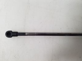 Nissan Note (E11) Jambe de force de hayon 904509U00A