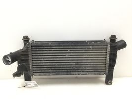 Nissan Pathfinder R51 Radiatore intercooler 14461EB360