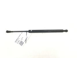 Nissan Murano Z50 Ammortizzatore portellone anteriore/cofano 65470CB800