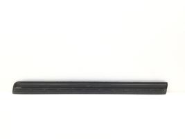 Audi A8 S8 D3 4E Front door trim (molding) 