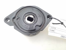 BMW 3 E46 Napinacz paska / łańcucha rozrządu 7787371