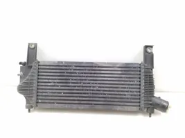 Nissan Pathfinder R51 Radiatore intercooler 