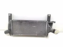 Nissan Pathfinder R51 Radiatore intercooler 