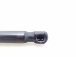 Opel Insignia A Tailgate strut 13332570