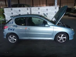 Peugeot 206+ Module de fusibles 