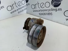 Renault Megane II Generator/alternator belt tensioner 