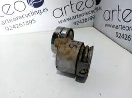 Renault Megane II Generator/alternator belt tensioner 