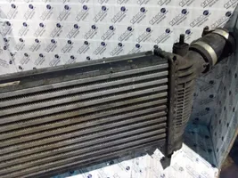 Nissan Pathfinder R51 Radiatore intercooler 14461EB360