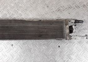 Ford Galaxy Degalų aušintuvas (radiatorius) 7M0201898B